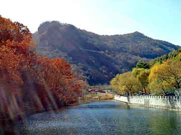 正版澳门天天开彩大全，车祸现场恐怖图片